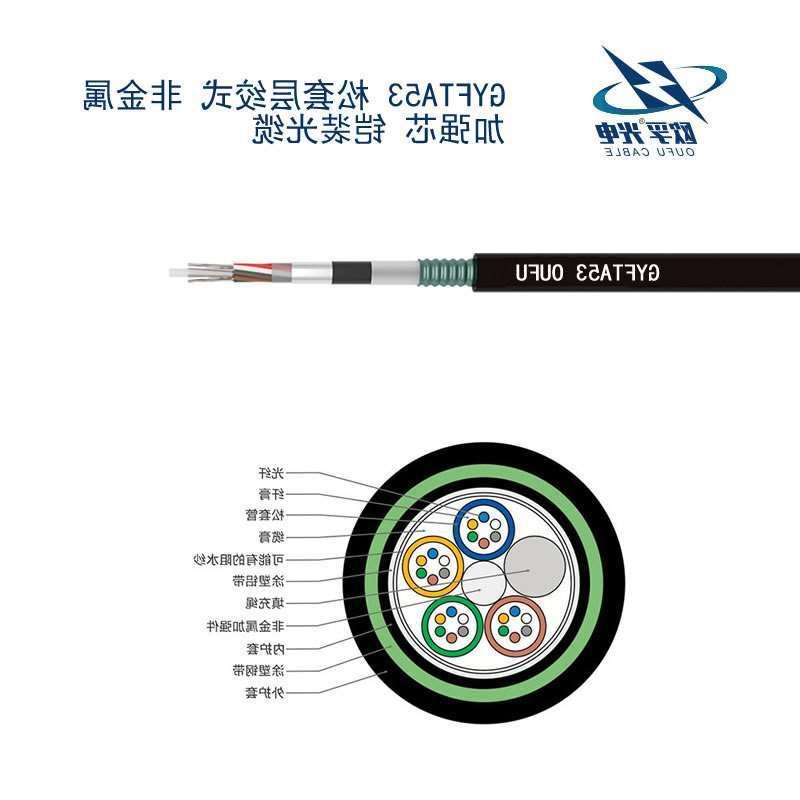 泸州市GYFTA53光缆