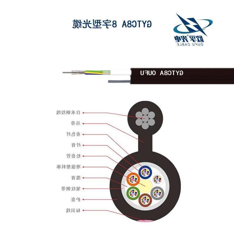 六盘水市GYTC8S光缆