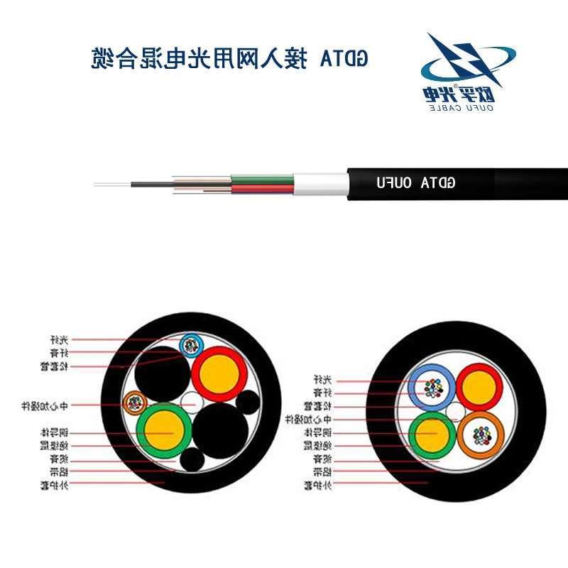 六盘水市GDTA光缆