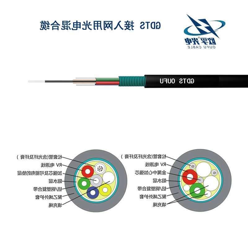 六盘水市GDTS光缆