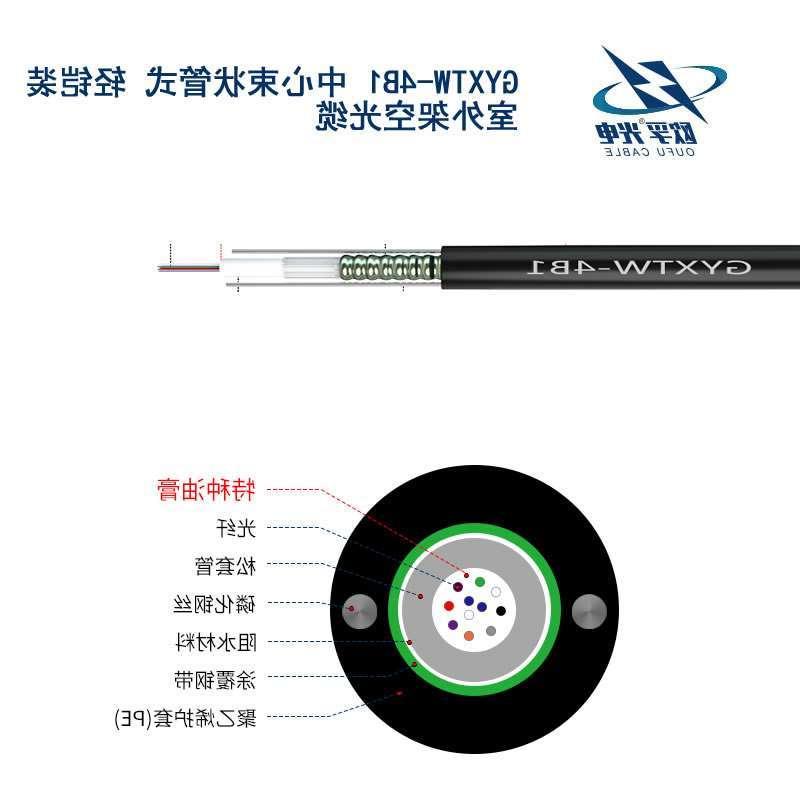 齐齐哈尔市GYXTW光缆