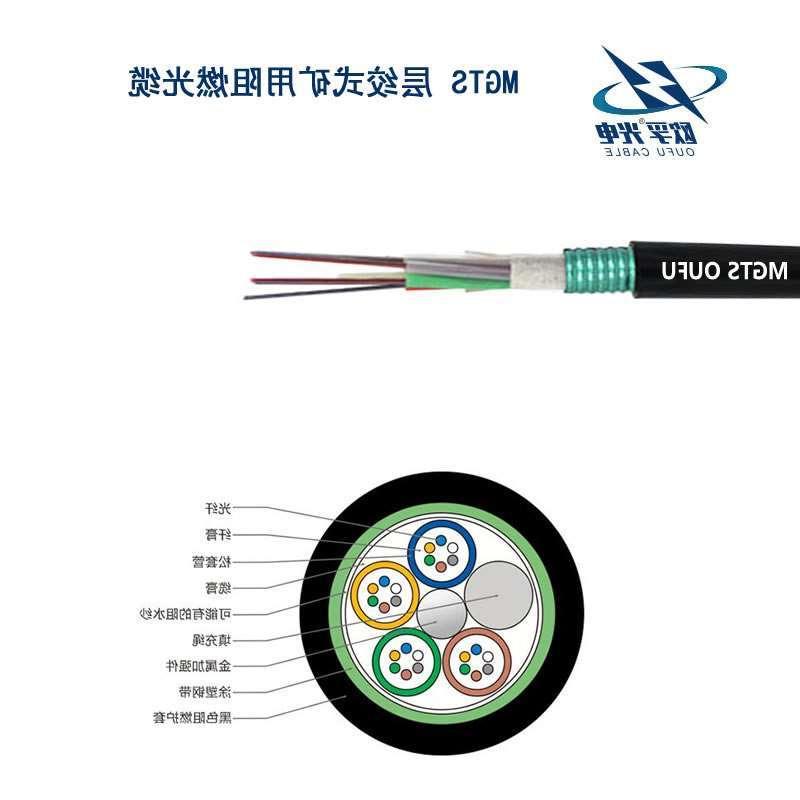 黔江区MGTS光缆