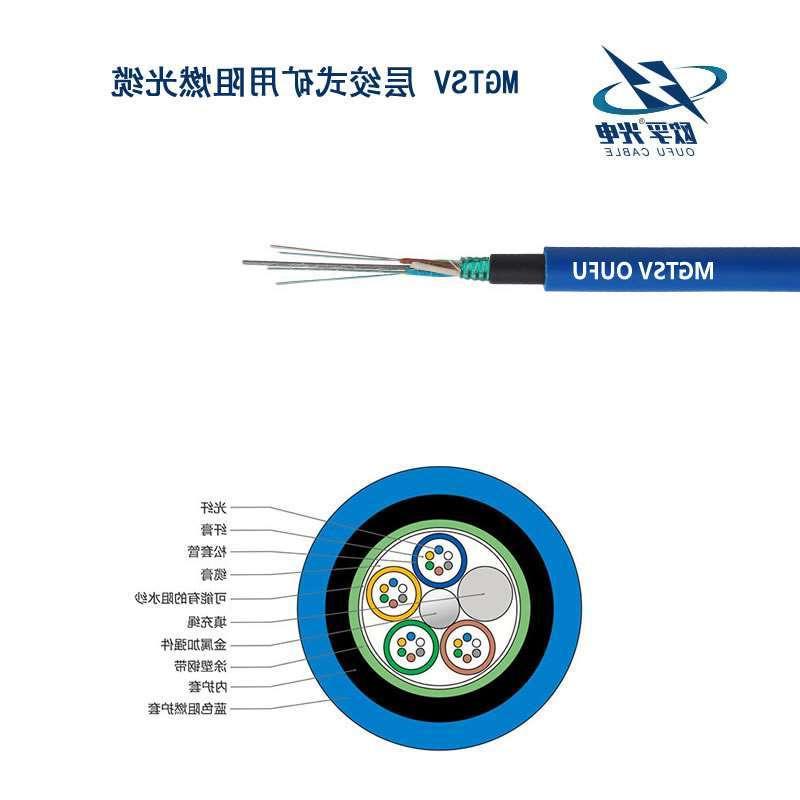 齐齐哈尔市MGTSV光缆