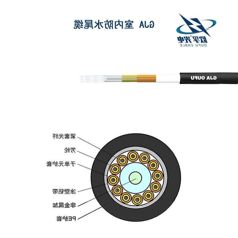 六盘水市GJA防水尾缆