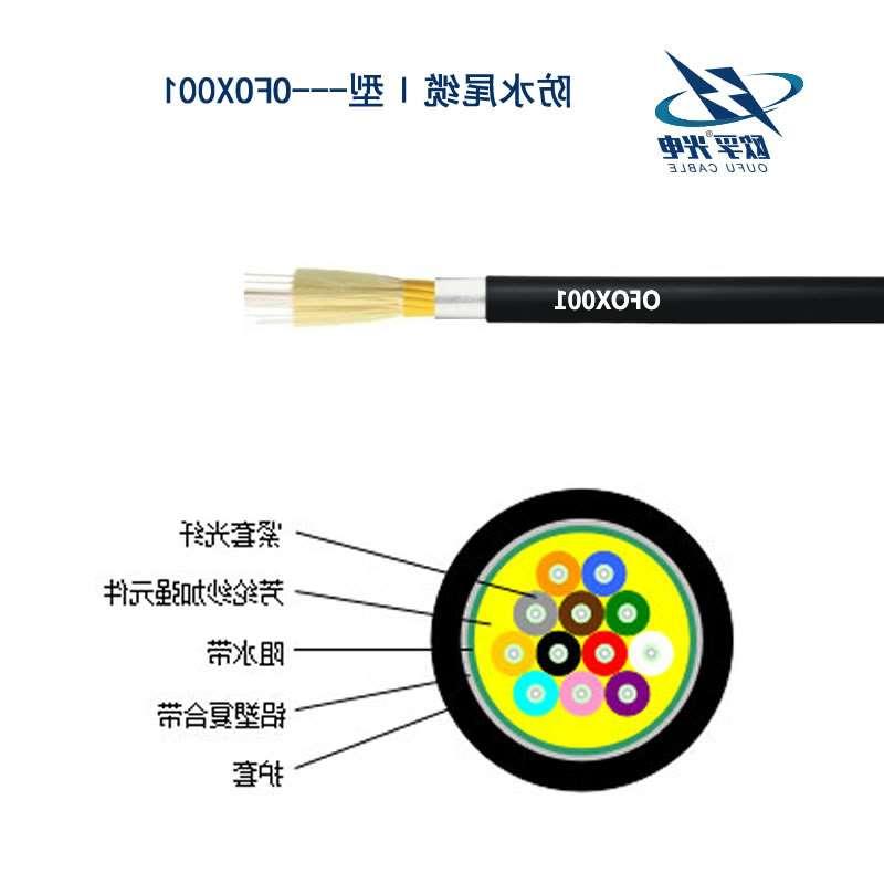 黔江区防水尾缆Ⅰ型