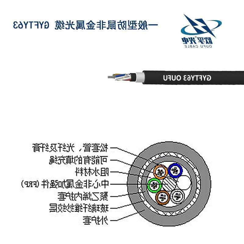 六盘水市防鼠咬GYFTY63光缆