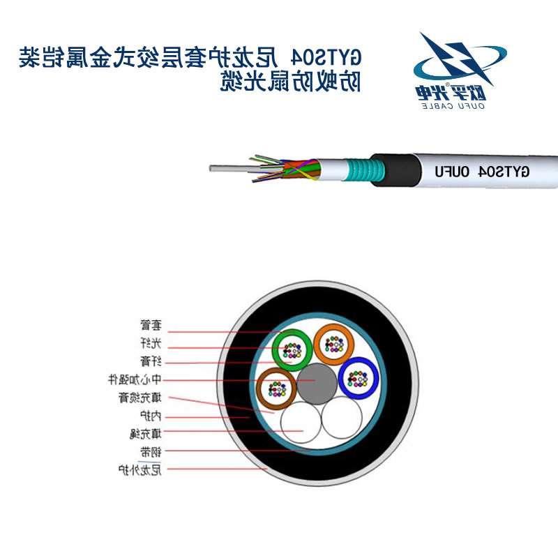 黔江区GYTS04光缆